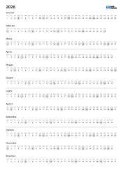 Modello di calendario annuale con disposizione orizzontale mensile e linee di separazione ogni tre mesi(Verticale)